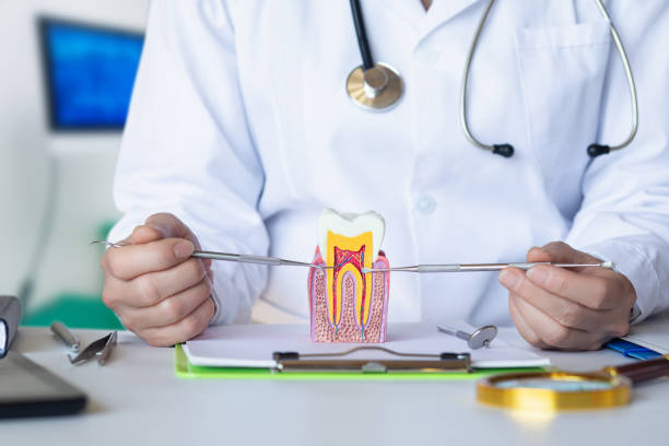 Best Emergency Tooth Extraction in Meridian Village, CO